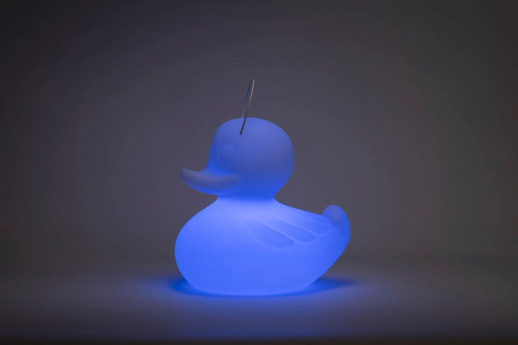 Lampa pływająca do basenu, ogrodu i wnętrz LED akumulatorowa 51cm – Duck Lamp XL