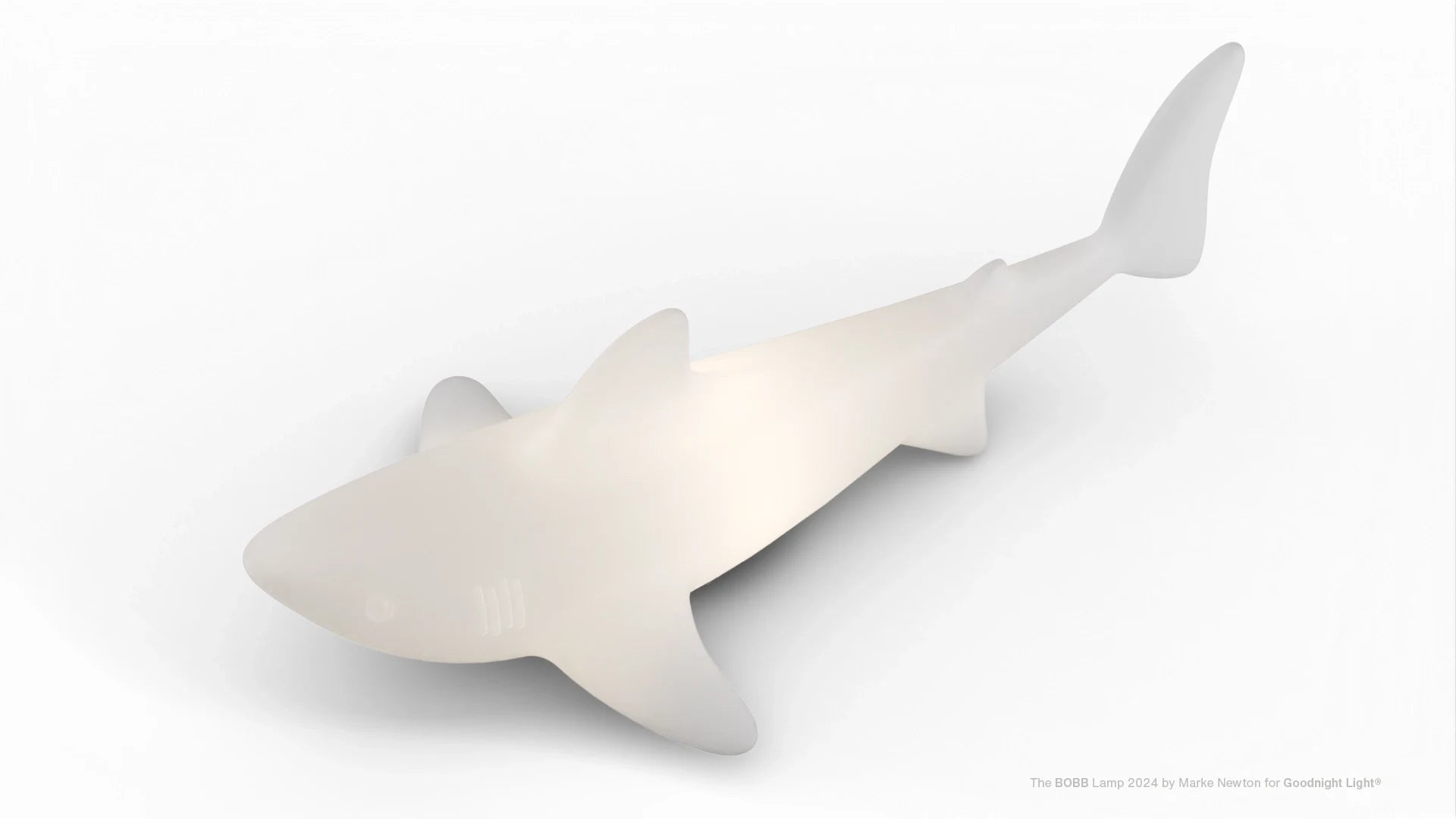 Lampa pływająca do basenu, ogrodu i wnętrz LED akumulatorowa 70cm – Bobb Lamp